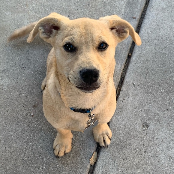 Meet your Posher, Sandra - Picture 1 of 1